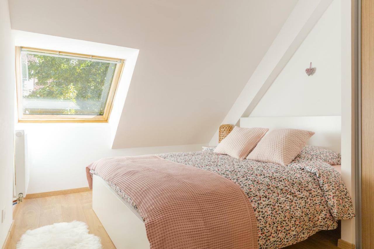 Appartement De Standing 8 Personnes Centre Historique De Colmar Eksteriør bilde